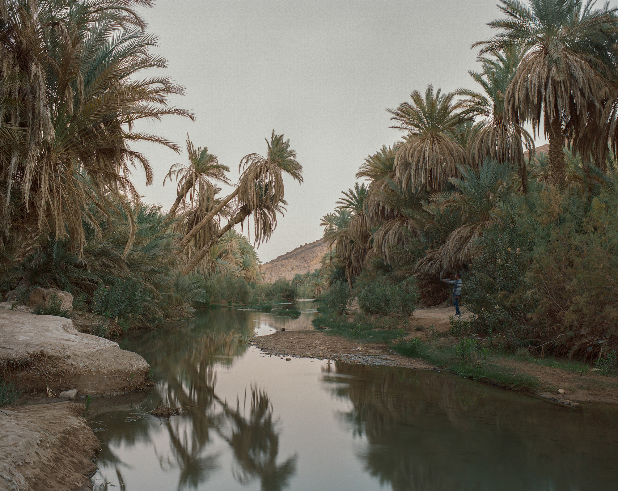 "WAH'A واحة_"